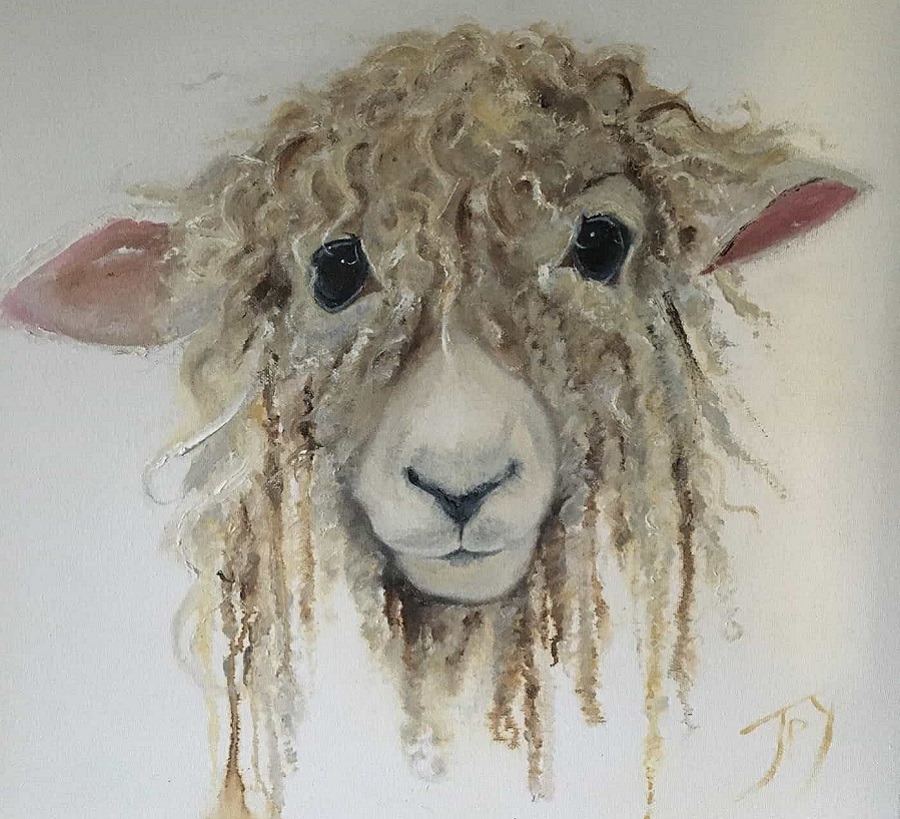 Dorothy of Devon & Cornwall Longwool